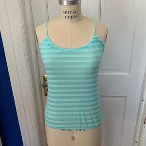 Deb Sheer Striped lace accent mint Top